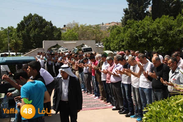 tashye3 04007 (11).JPG